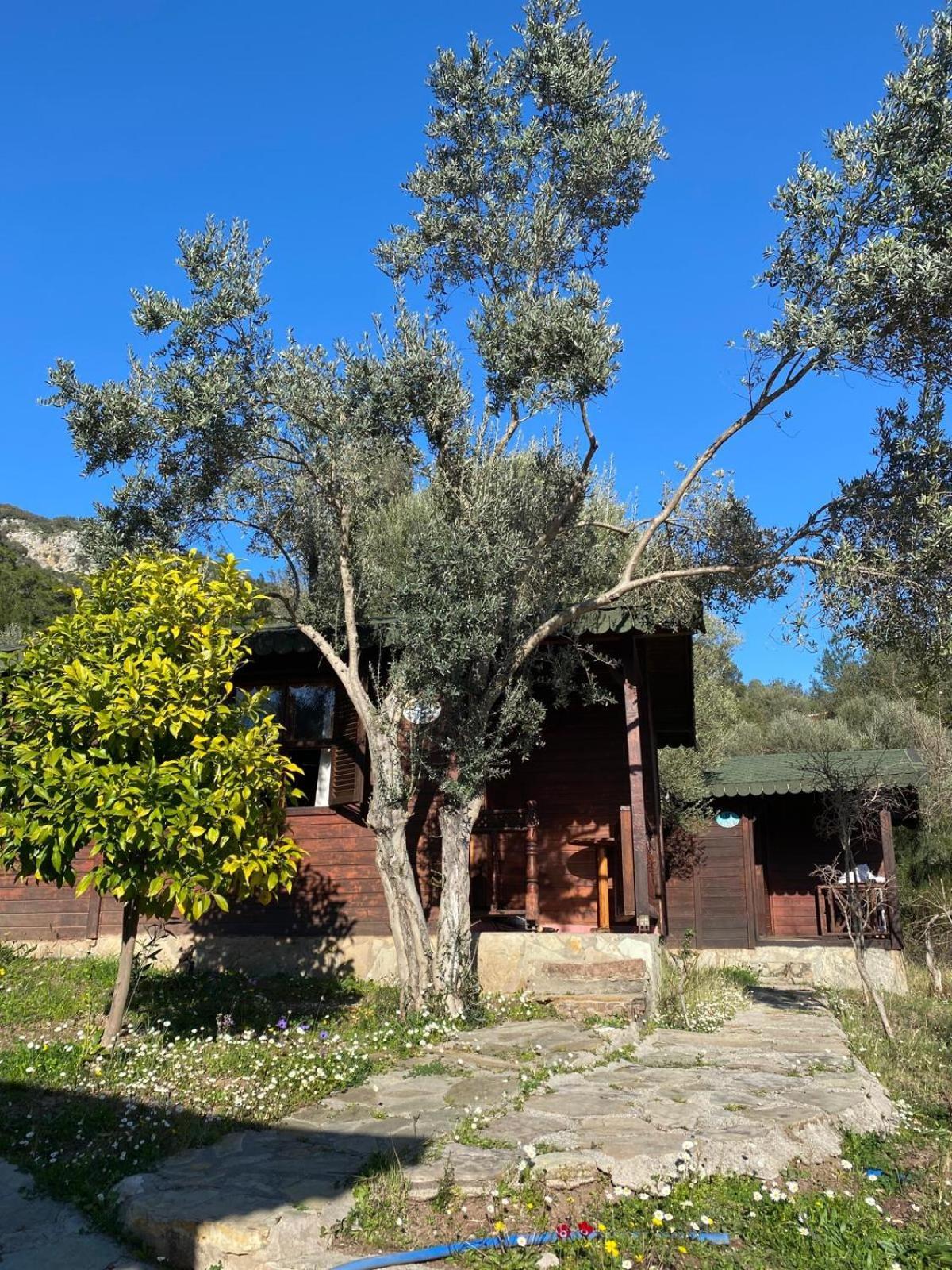 מלון Kumluca Olympos Talara By Arzum מראה חיצוני תמונה